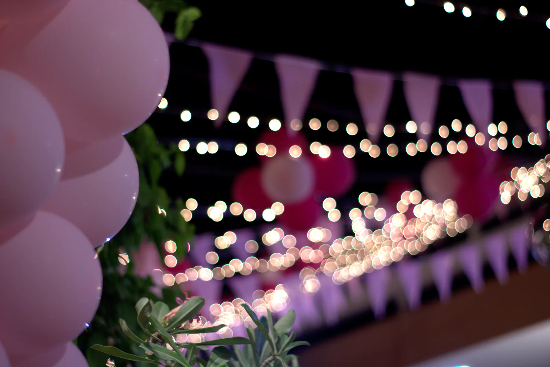Birthday Event — Event Photograph 06