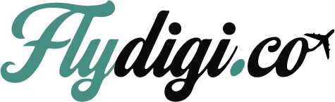 Flydigi logo